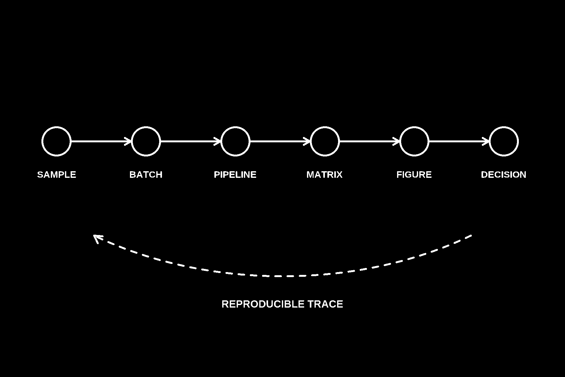 Sample, batch, pipeline, matrix, figure, decision chain with a reproducible trace looping back to the sample